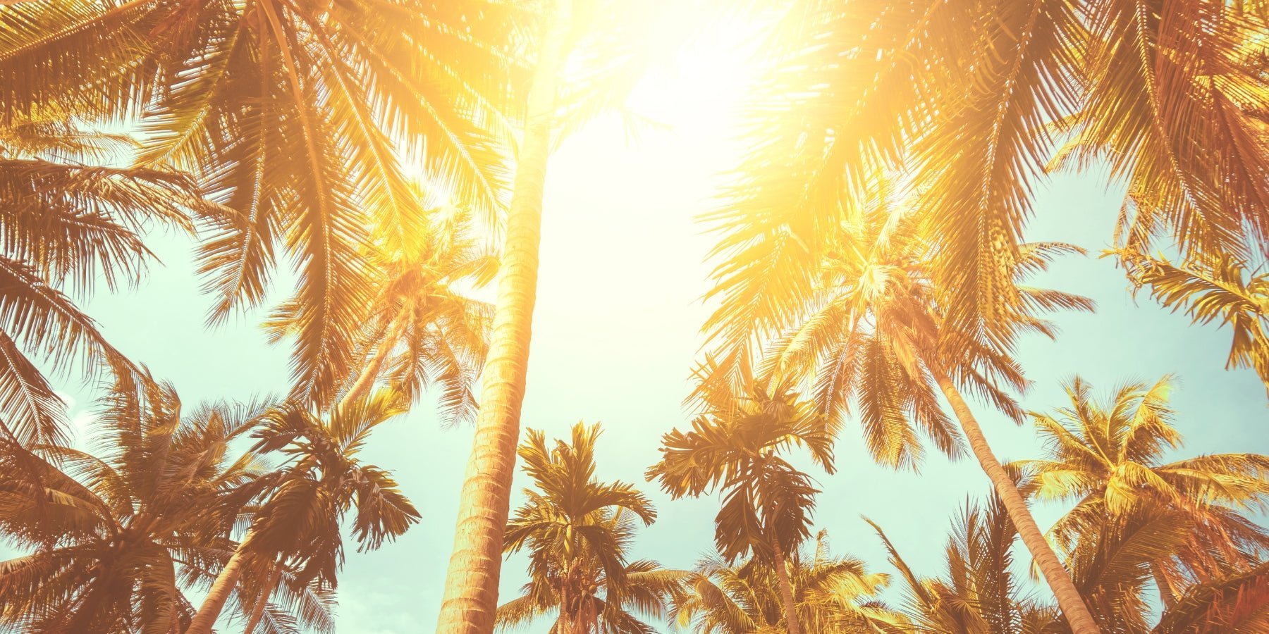 20 minuten vakantie in je hoofd – met de helende klanken van 528 Hz - Happlify