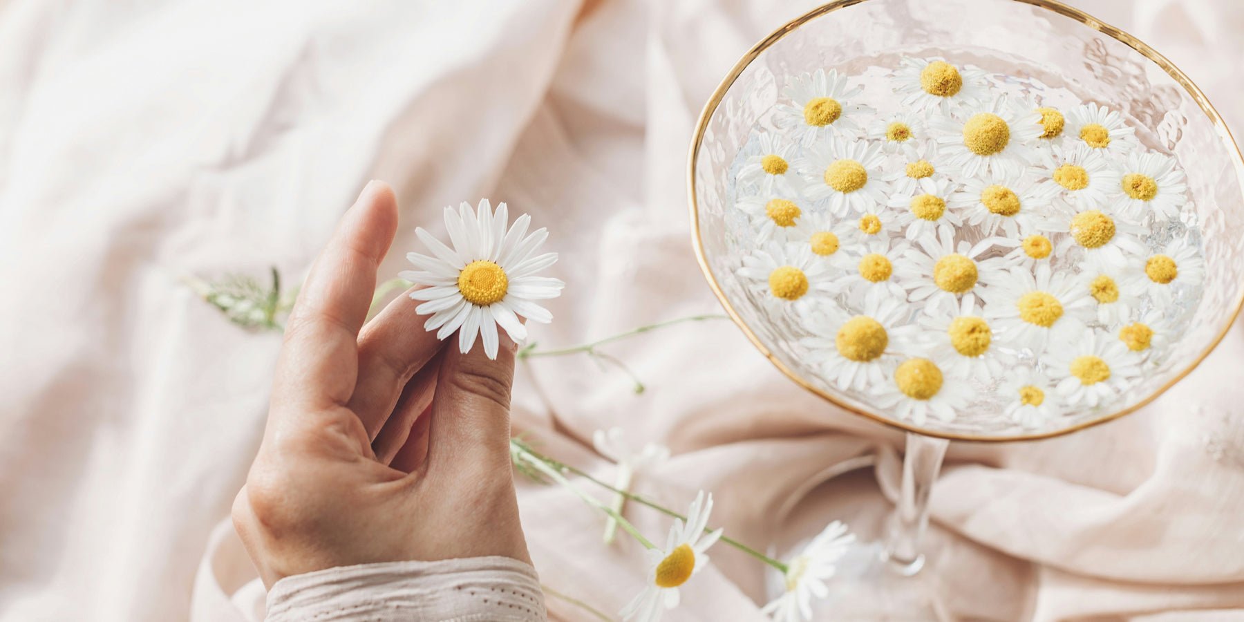 30 dingen om te doen in 2026 (in plaats van weer een jaar verspillen) - Happlify