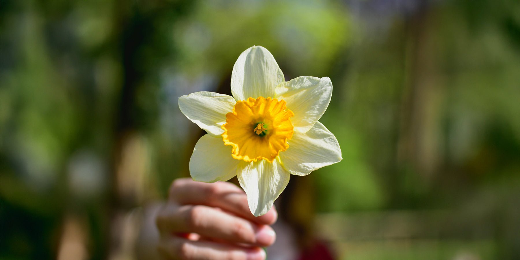 Geven maakt gelukkig: zo verras je iemand op een unieke manier