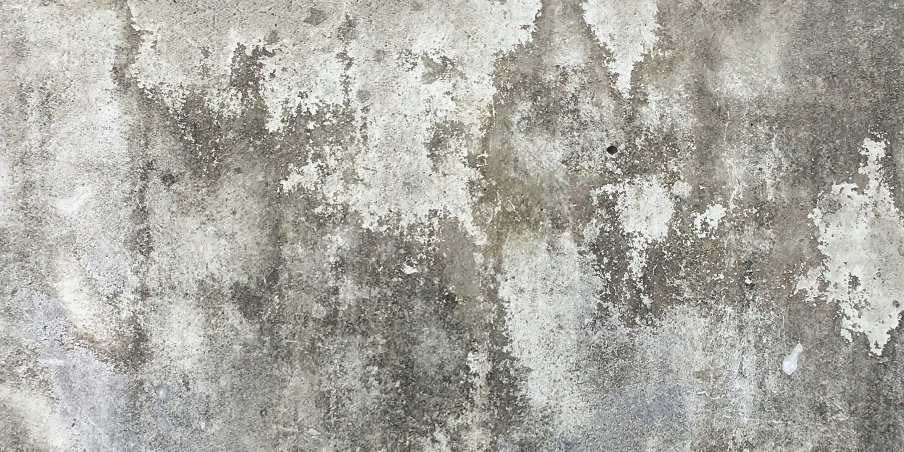 Alles over vochtproblemen in muren: van oorzaak tot oplossing