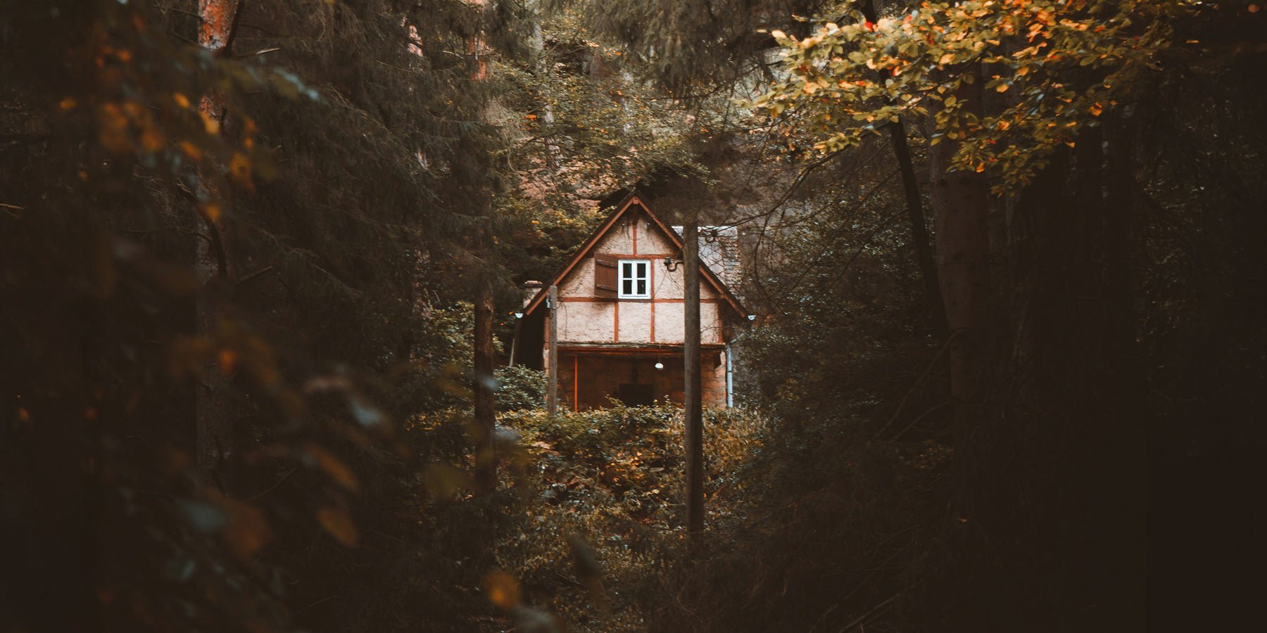 Avontuur lonkt: van boshut tot longboard naar Portugal - Happlify