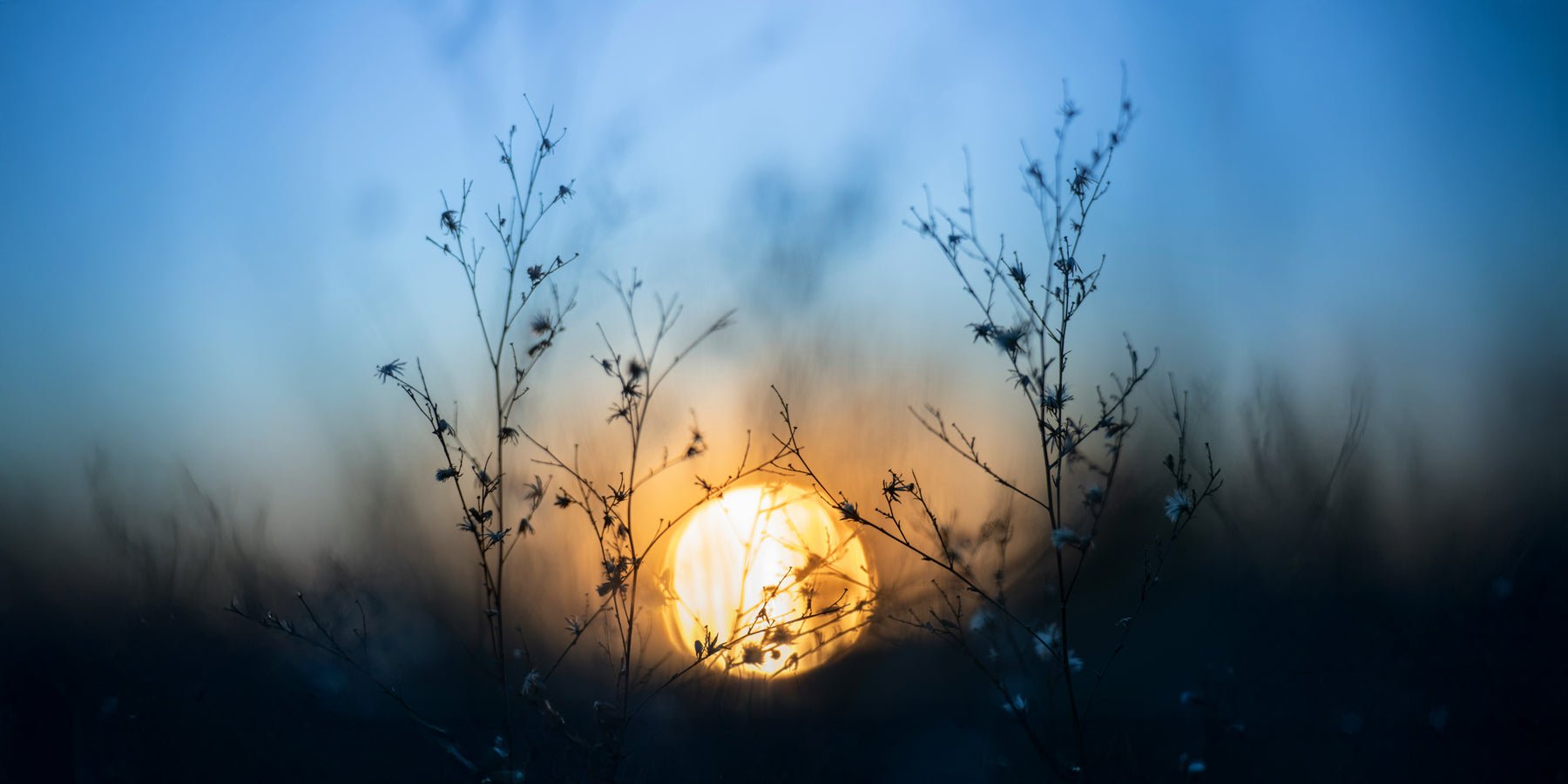 Blue Monday: jouw beste excuus-dag van het jaar - Happlify