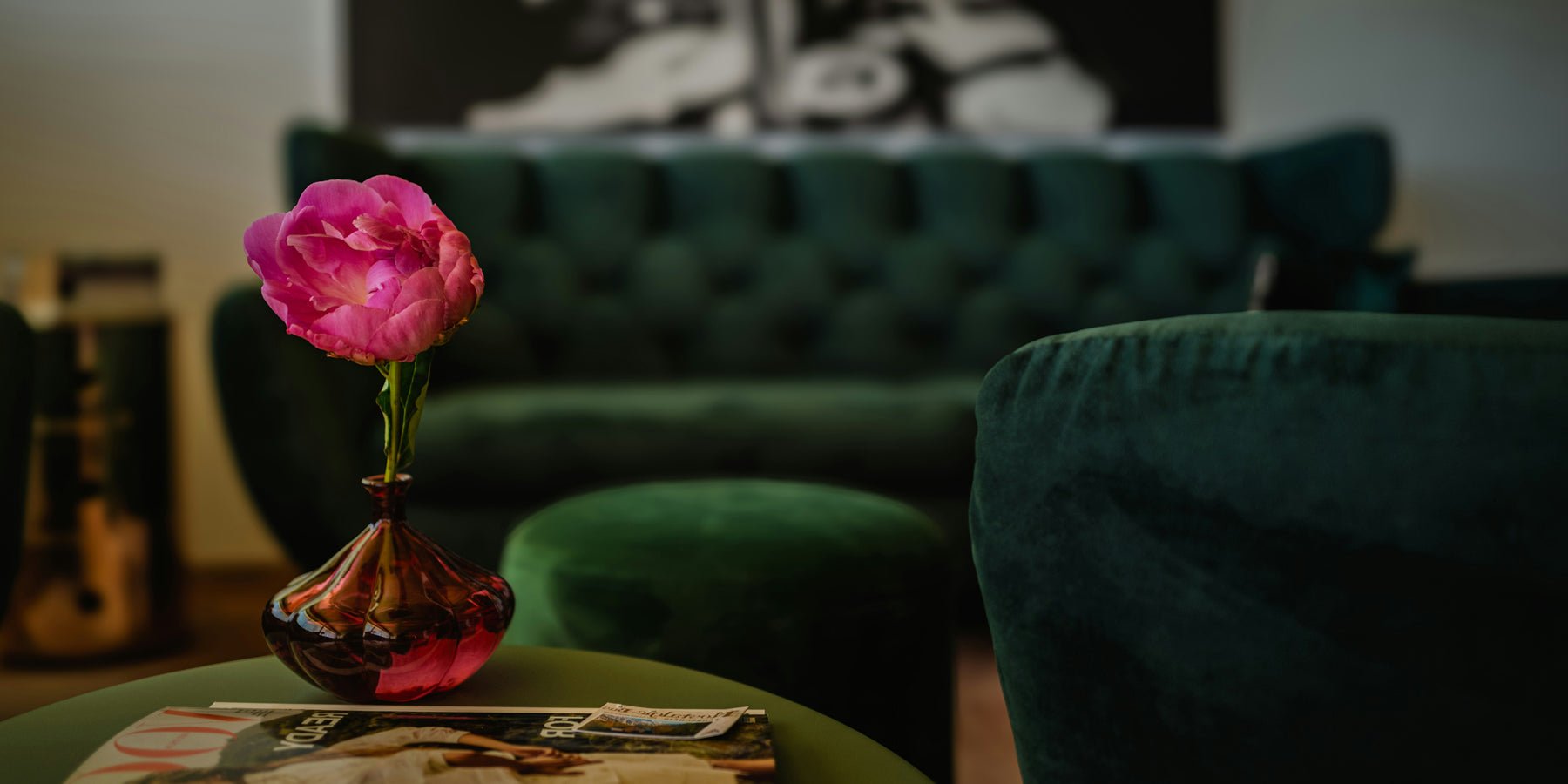 Budgetvriendelijke tips voor een frisse look in huis zonder hoge uitgaven - Happlify