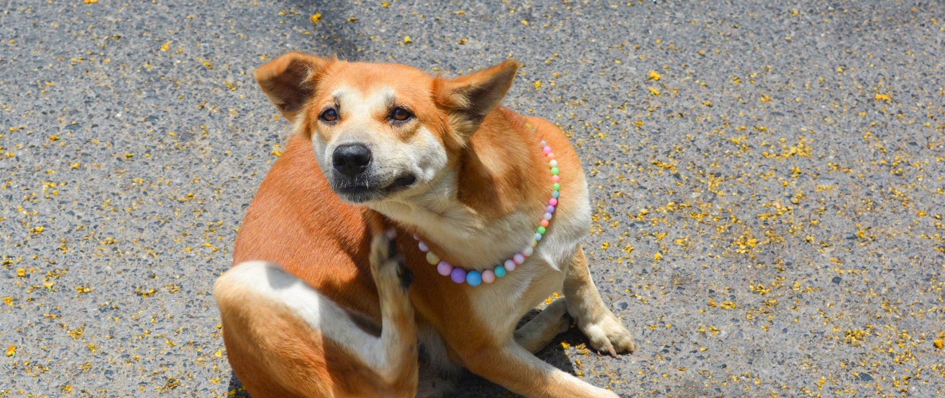 De 'seven year itch': mythe of realiteit? - Happlify