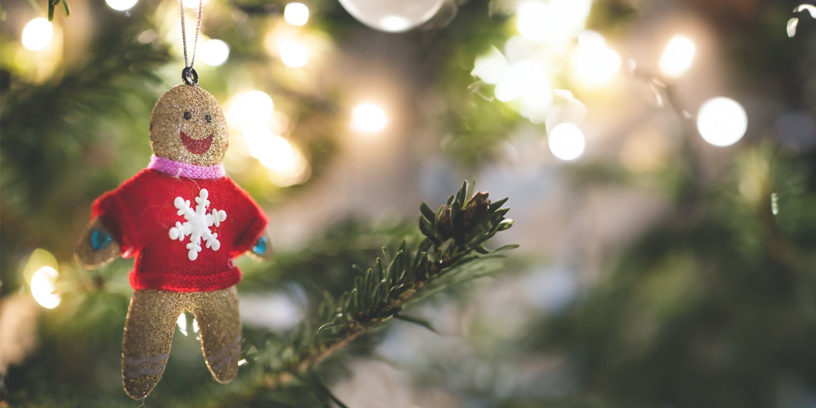 De ultieme survivaltips voor het overleven van Kerst met de fam