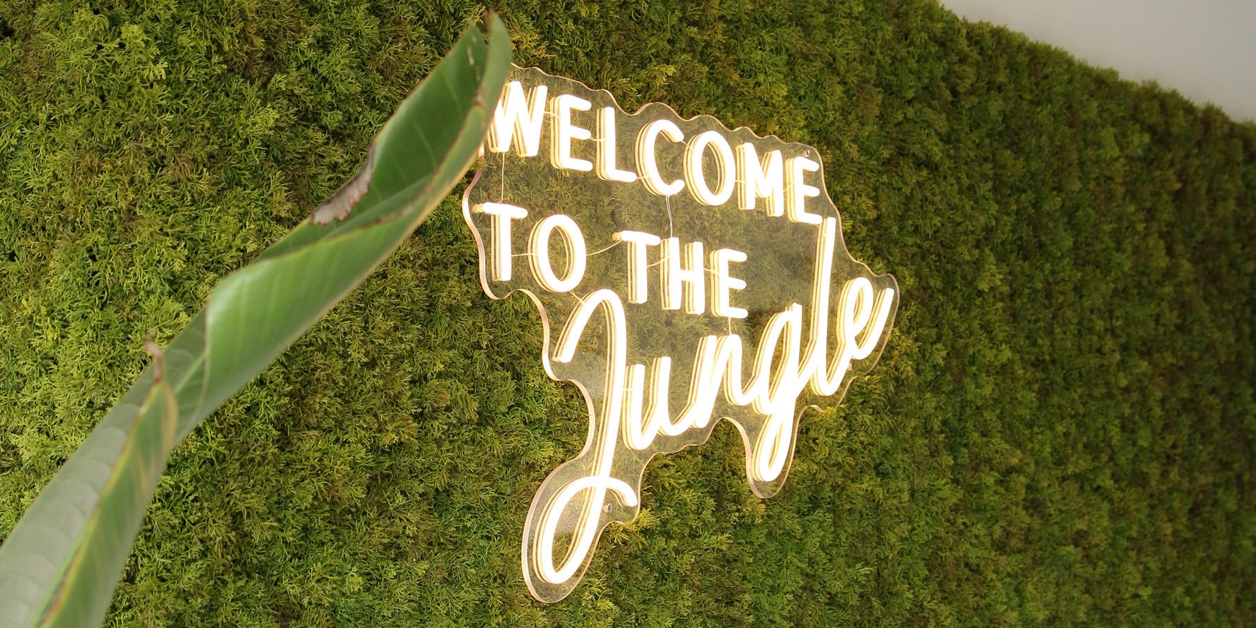 Een groene omgeving prikkelt de zintuigen - Happlify