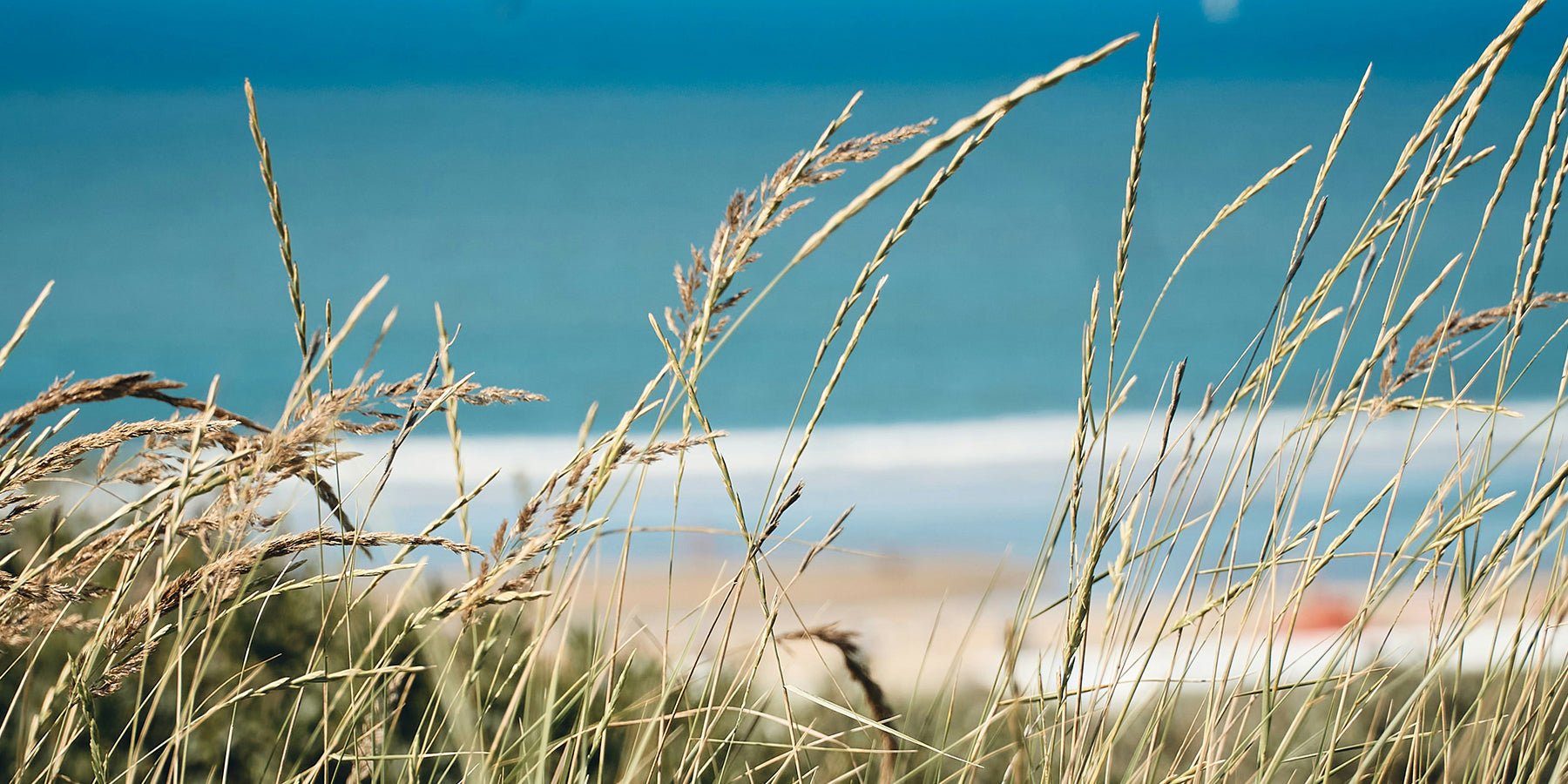 Erop uit in eigen land: lekker genieten aan de beste stranden - Happlify