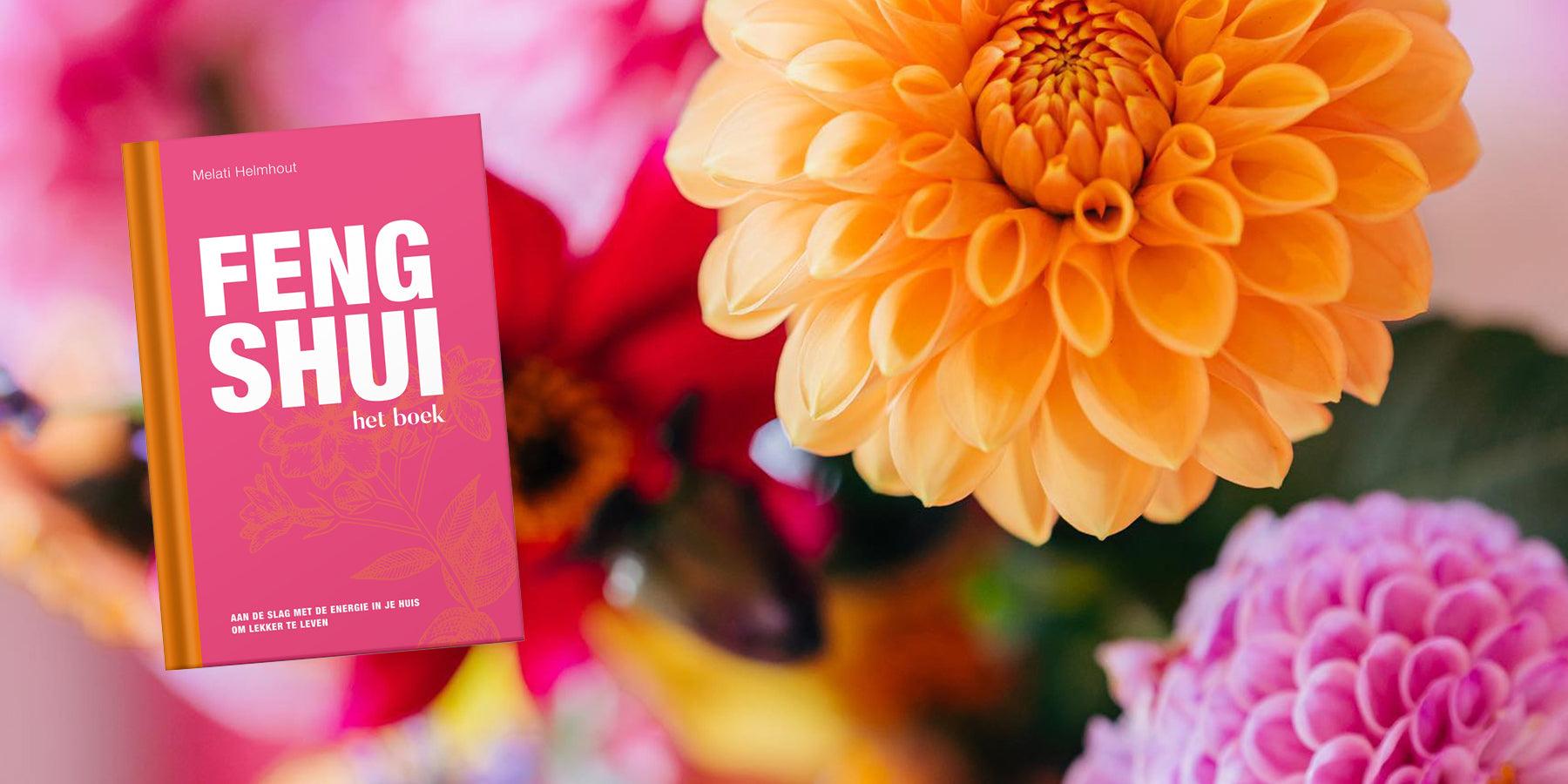 Feng Shui voor harmonie en balans in jouw leven - Happlify