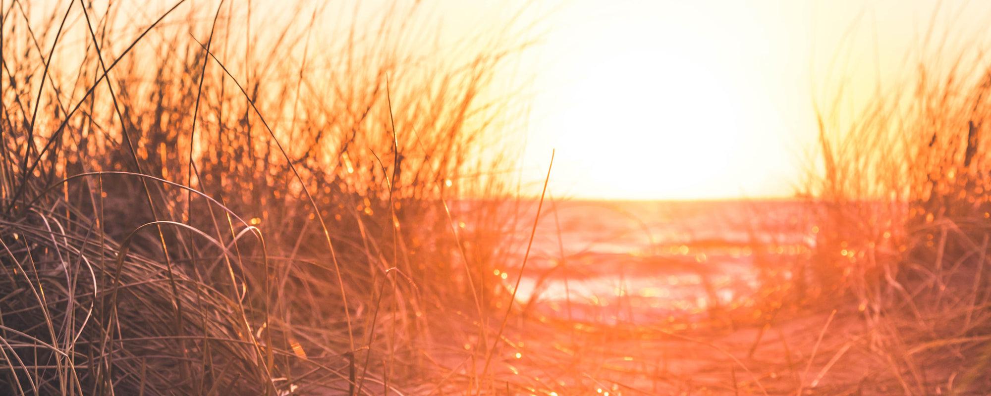 Ga op micro-avontuur! (9 leuke en creatieve ideeën) - Happlify