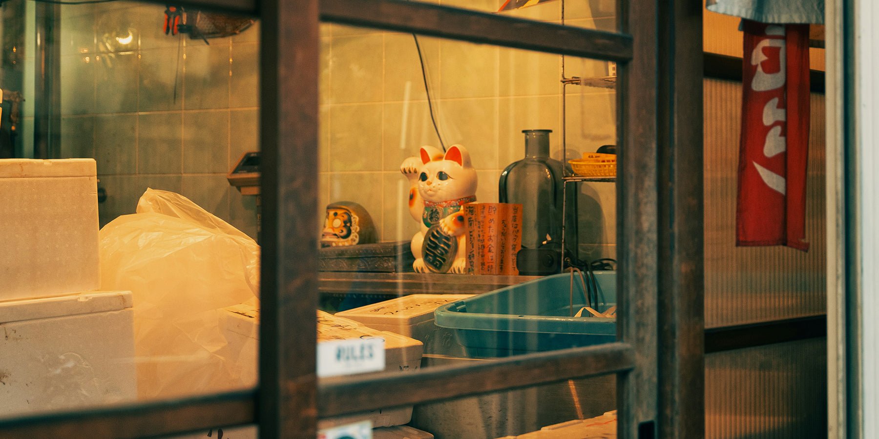 Maneki Neko - de lucky cat van Japan