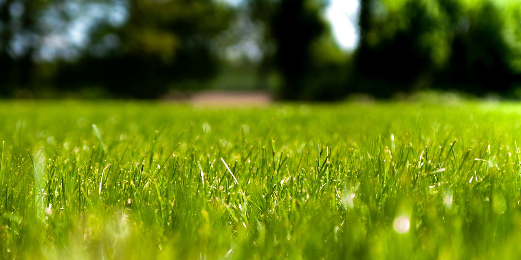 Strakke grasranden zonder gedoe: zo pak je het aan