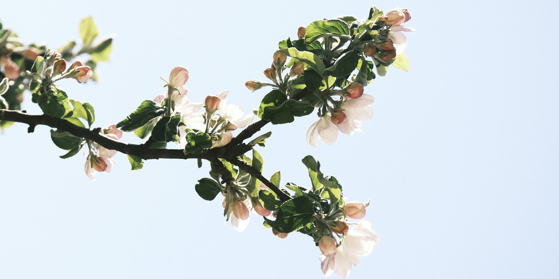 Hoe je leven te herpakken na verslaving