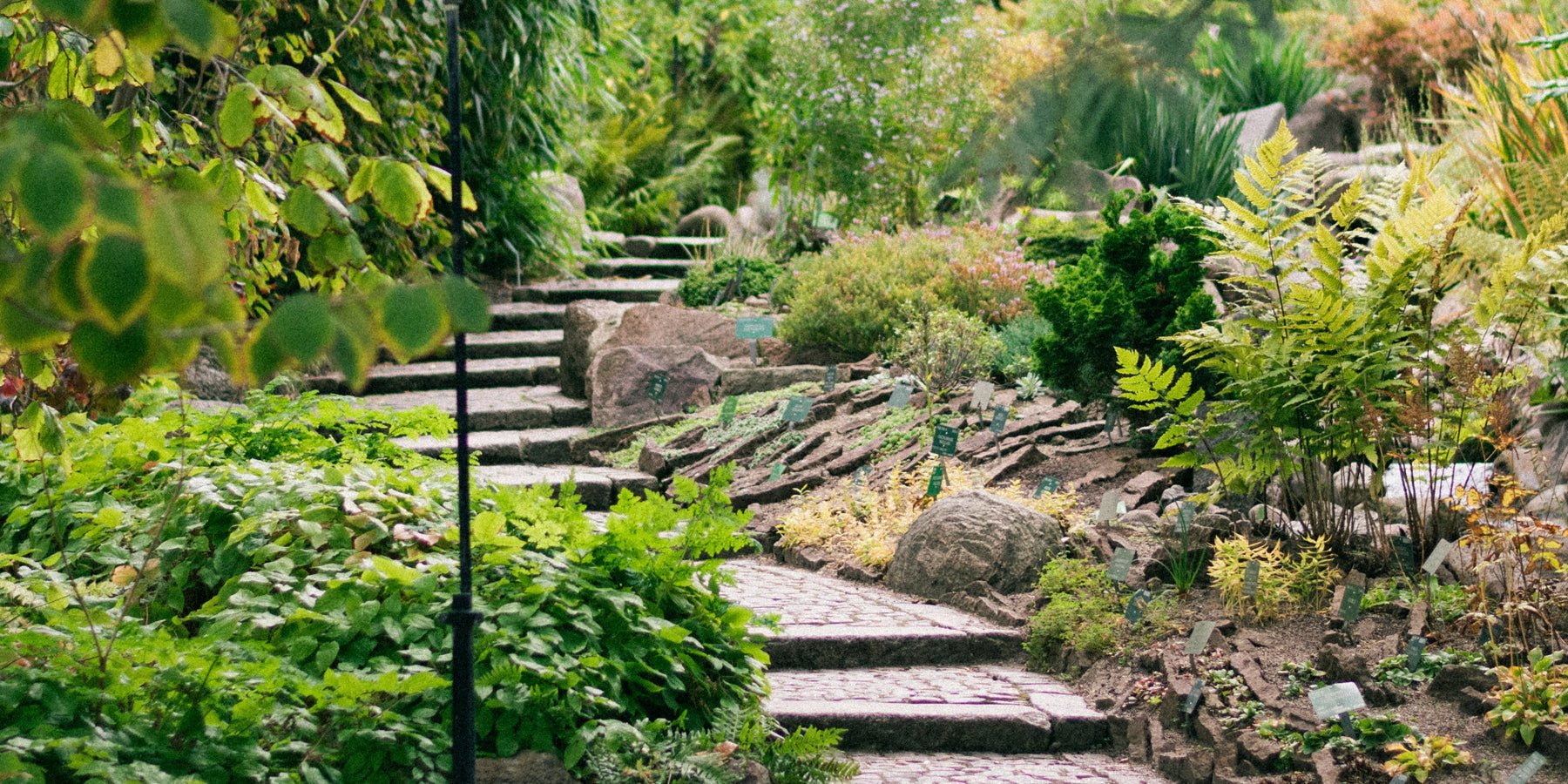 Je tuin opknappen met sierbestrating: inspiratie voor een stralende buitenruimte - Happlify