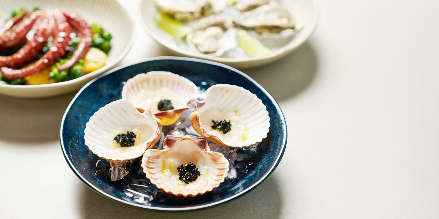 Kijk The Bear! - Happlify