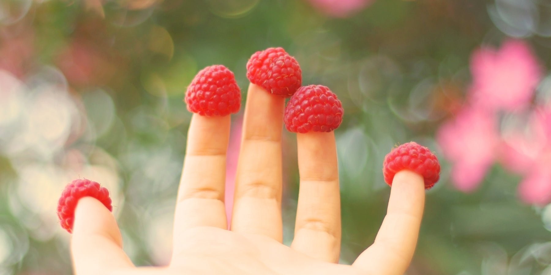 Le Fabuleux Destin d’Amélie Poulain: een film om het leven te vieren - Happlify