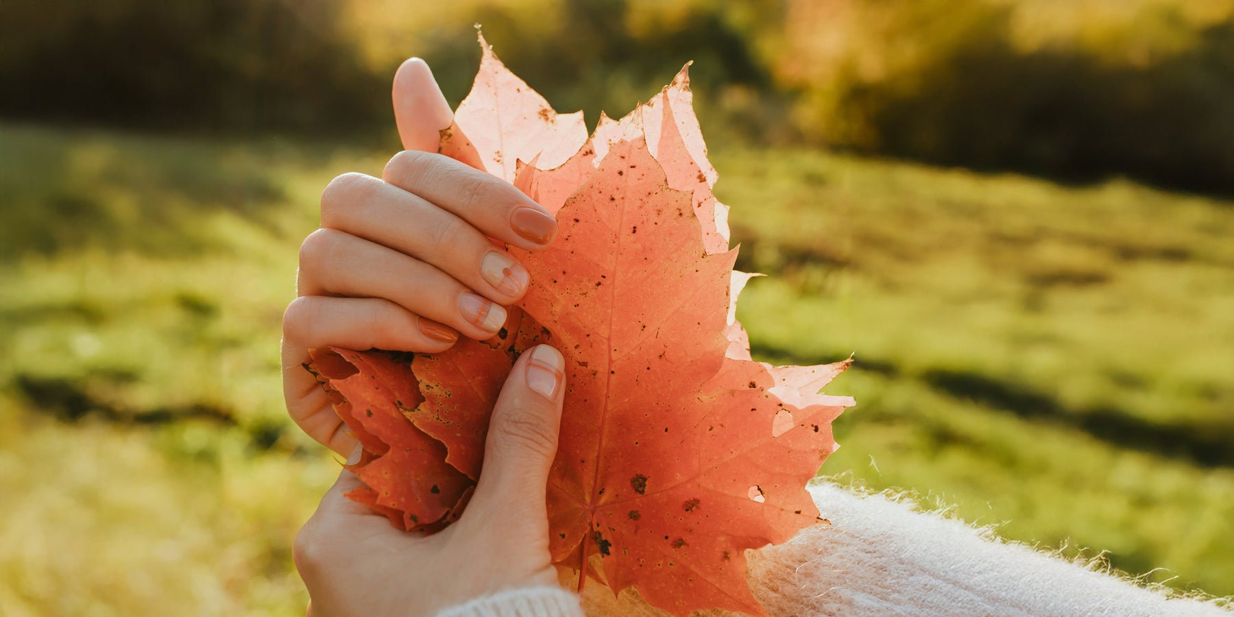 Nieuwe rituelen voor een ontspannen herfst