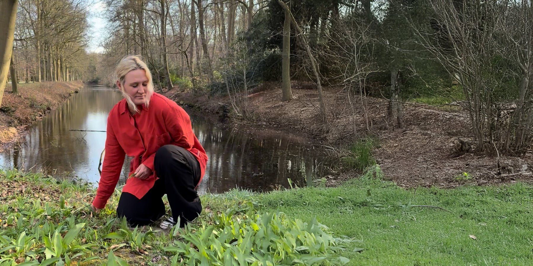 Plantaardiger: hoe een klimop-wasmiddel en een radijsje je leven kunnen veranderen - Happlify