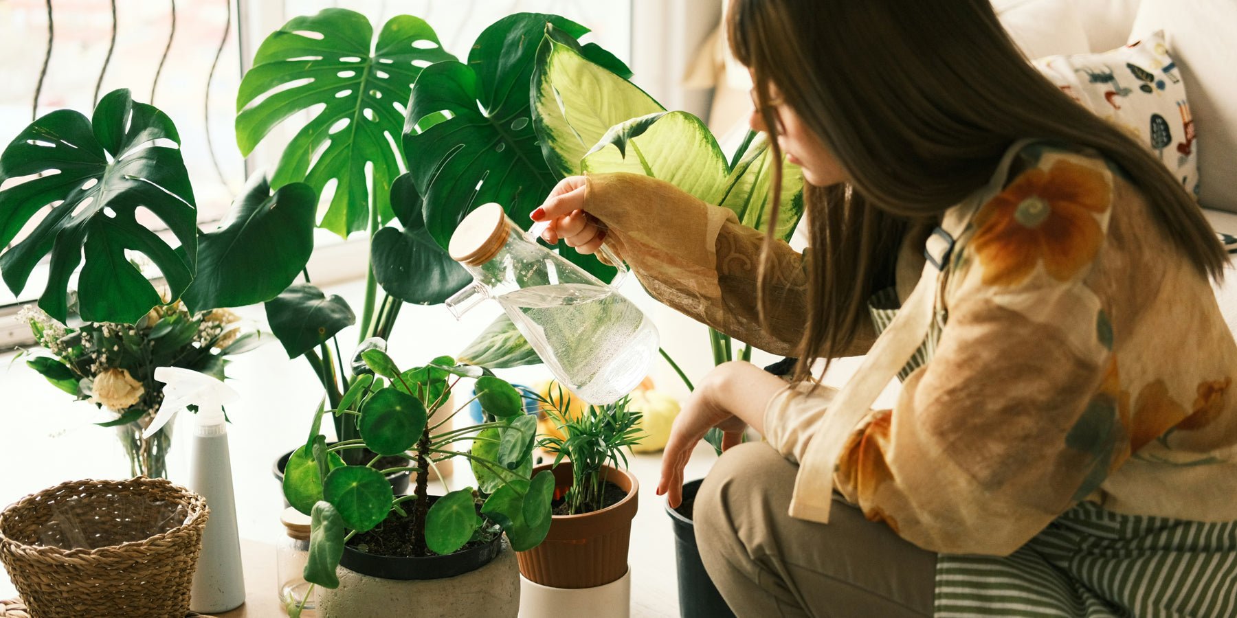 Van kaal tot knus: hoe planten je thuis écht laten voelen - Happlify