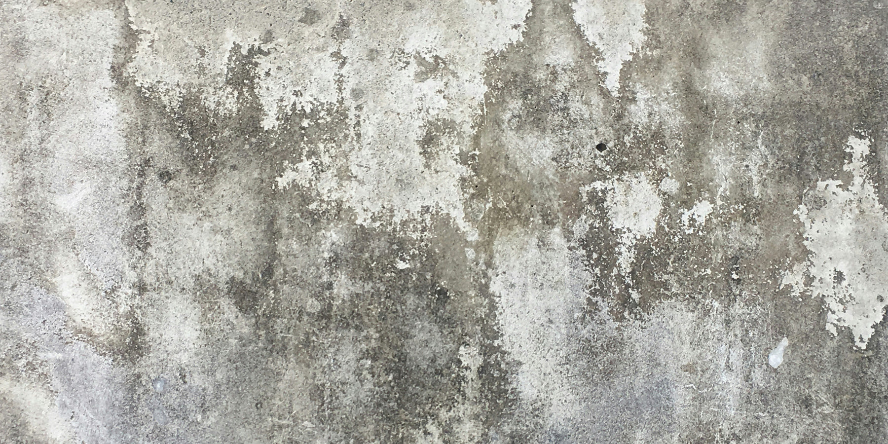 Alles over vochtproblemen in muren: van oorzaak tot oplossing