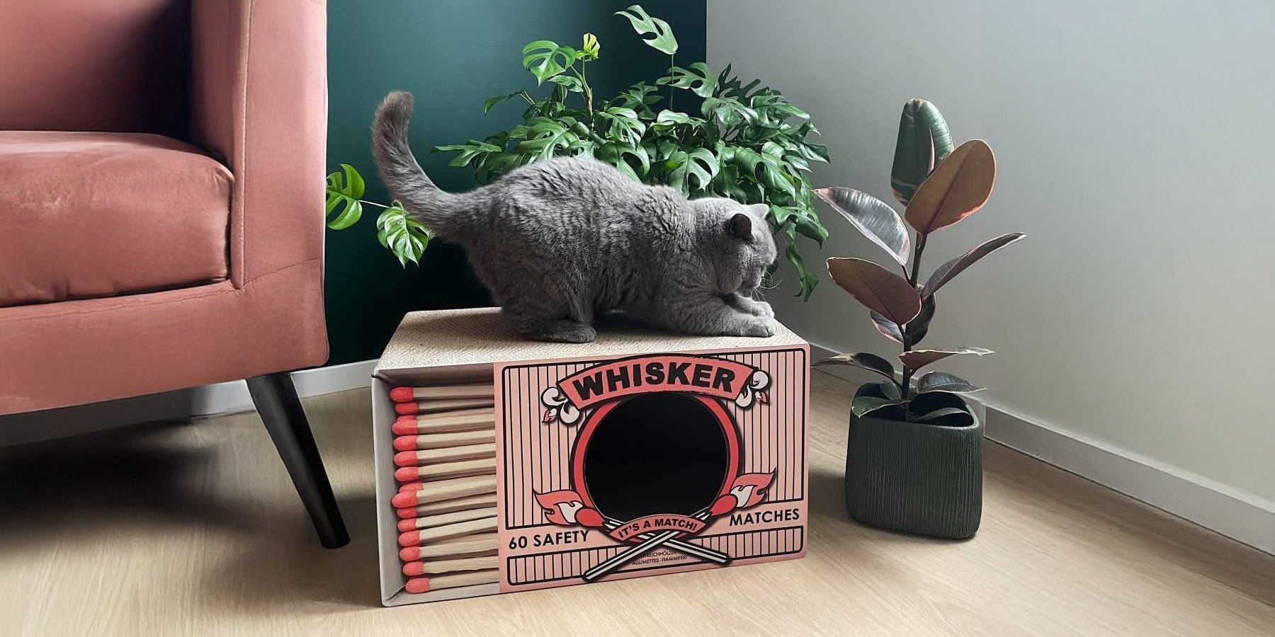 Winactie: jouw furbaby miauwt van geluk met dit stijlvolle krabmeubel! - Happlify