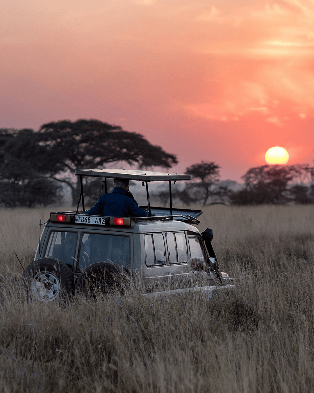 Afrika Plus voor onvergetelijke safari’s en reizen | Happlify happy place & webshop gids