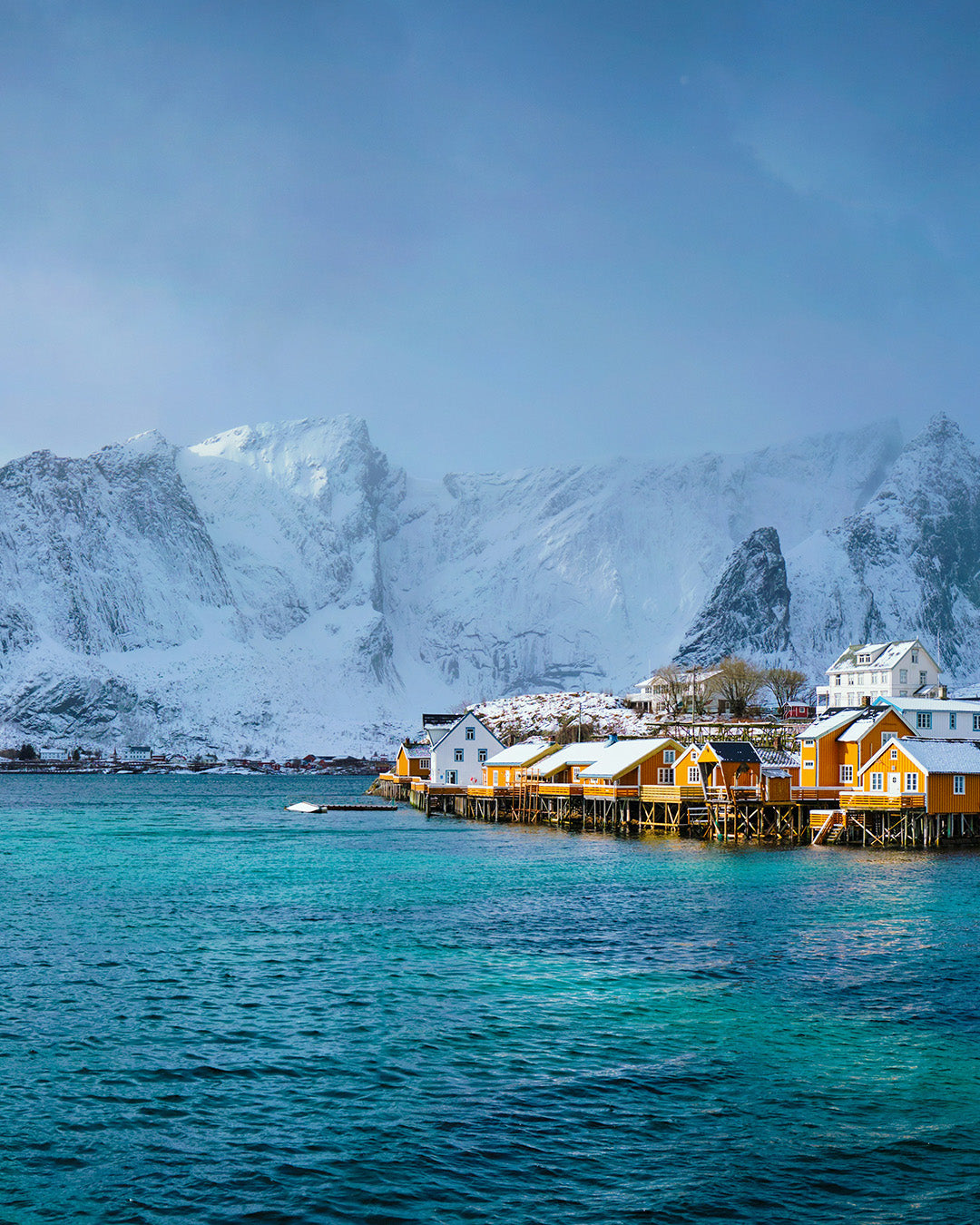 Expeditie Antartica: unieke zeereis naar het einde van de wereld