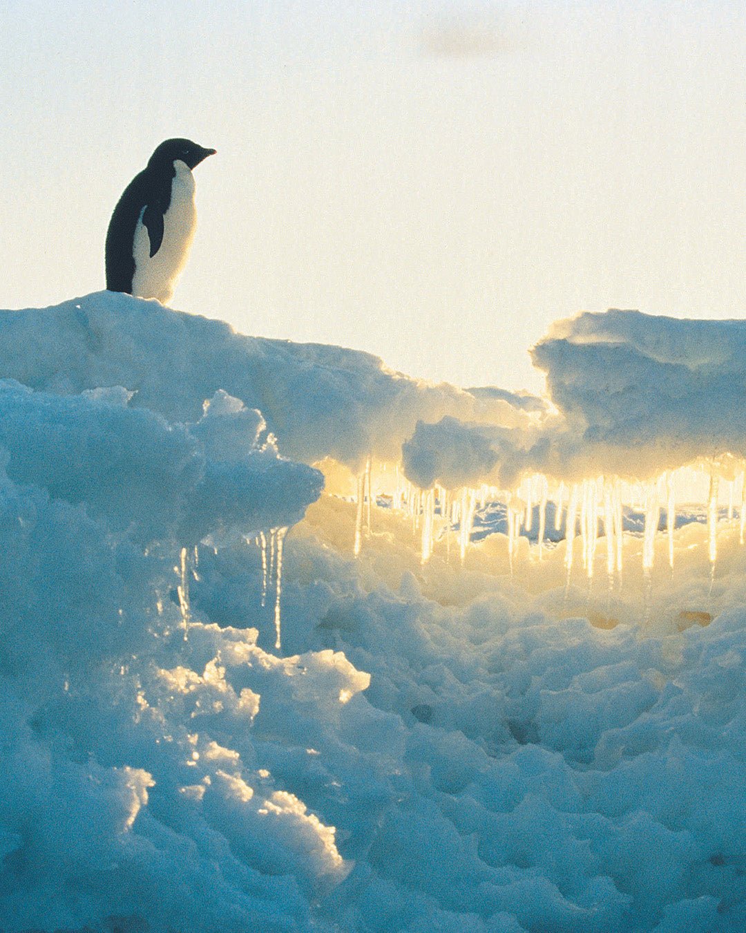 Expeditie Antartica: unieke zeereis naar het einde van de wereld | Happlify happy place & webshop gids