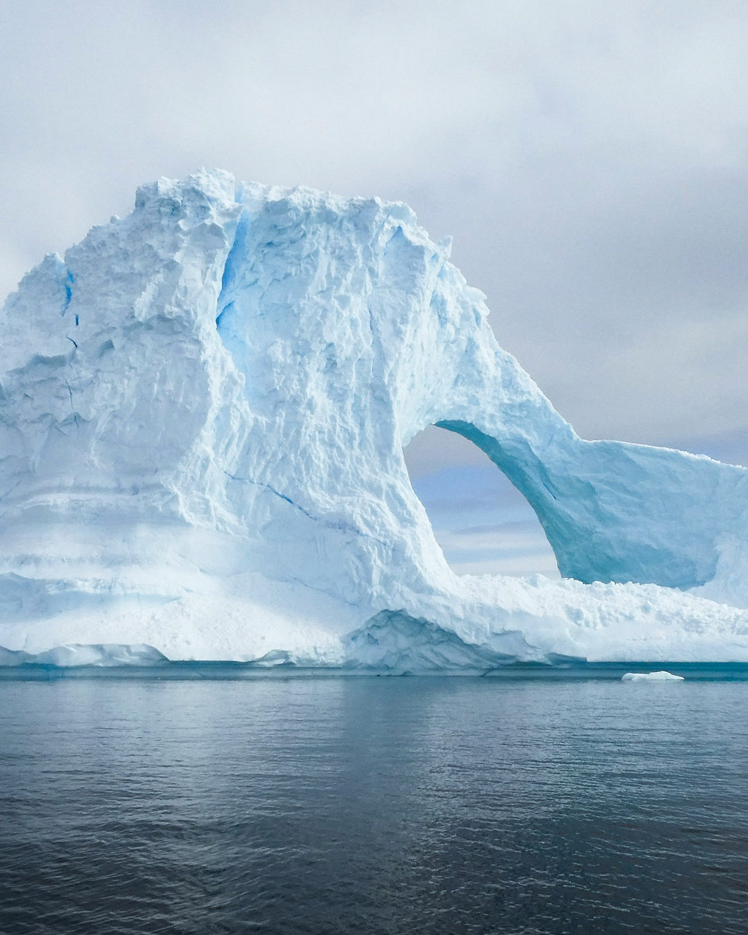 Expeditie Antartica: unieke zeereis naar het einde van de wereld