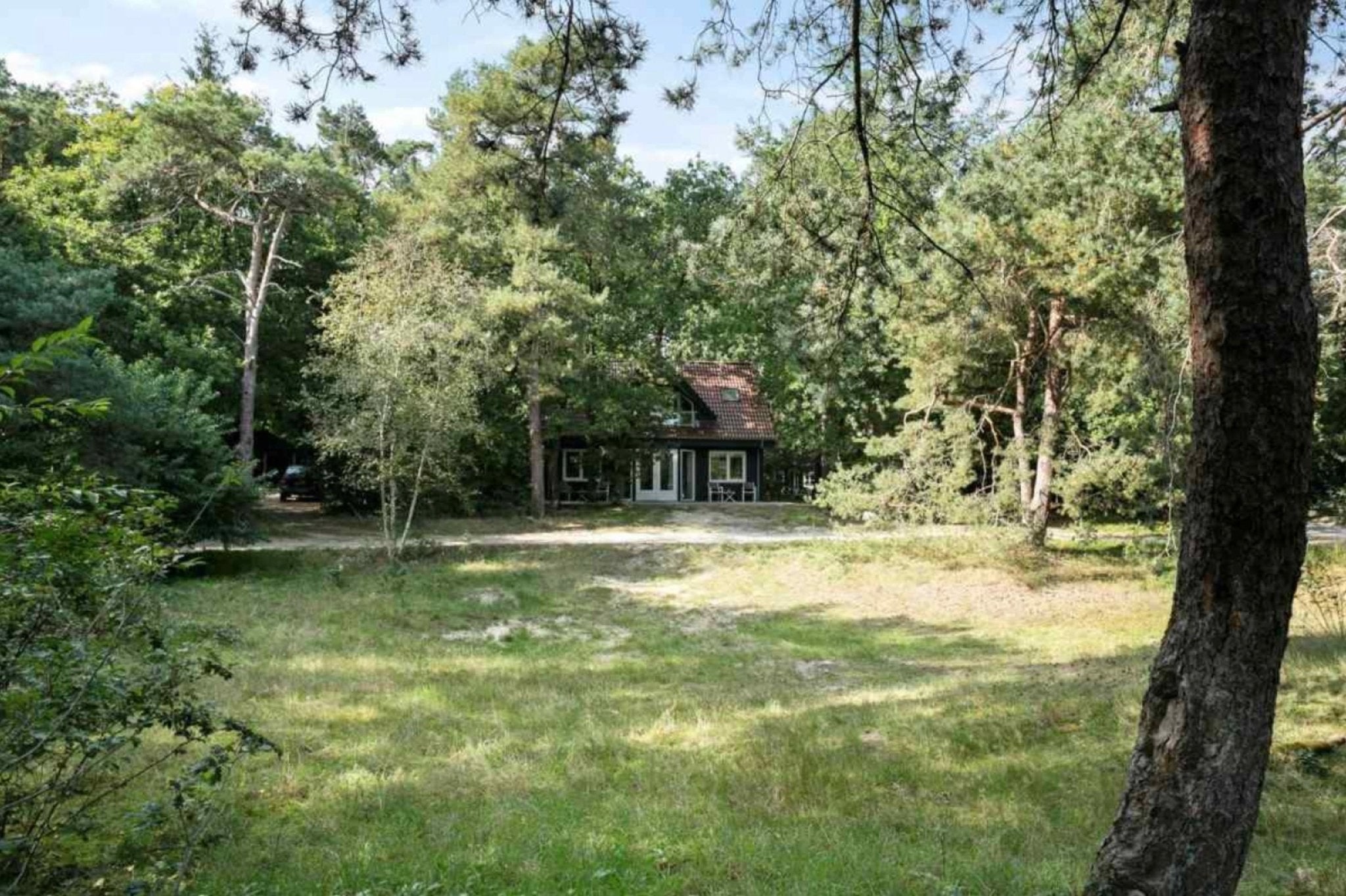 Vakantiehuis tussen de bomen in Norg Drenthe | Happlify happy place & webshop gids