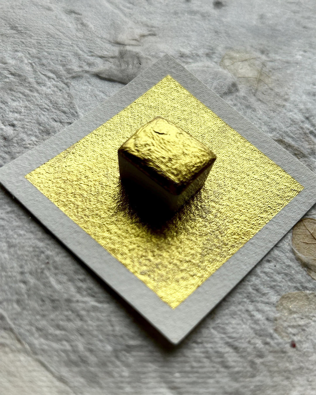 Claire Chi Studio