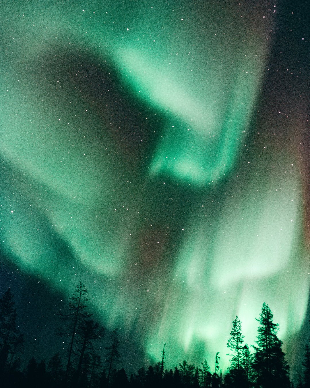 Vakantie Lapland: noorderlicht, huskysafari en winteravontuur | Happlify happy place & webshop gids