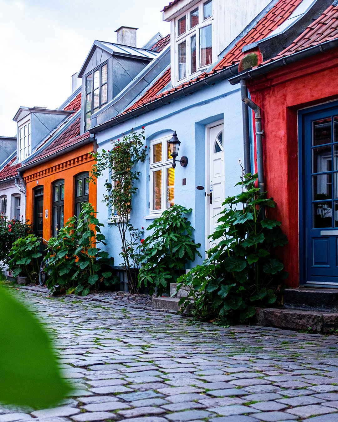 Rondreis Denemarken, romantische reis vol hygge en natuur | Happlify happy place & webshop gids