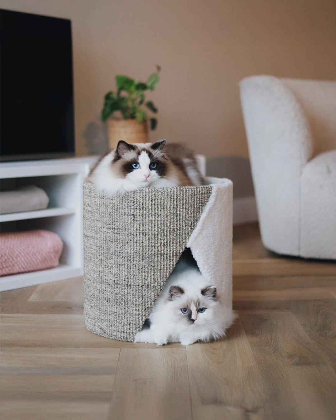 Ik miauw van jou | Happlify feel good webshop gids en blog