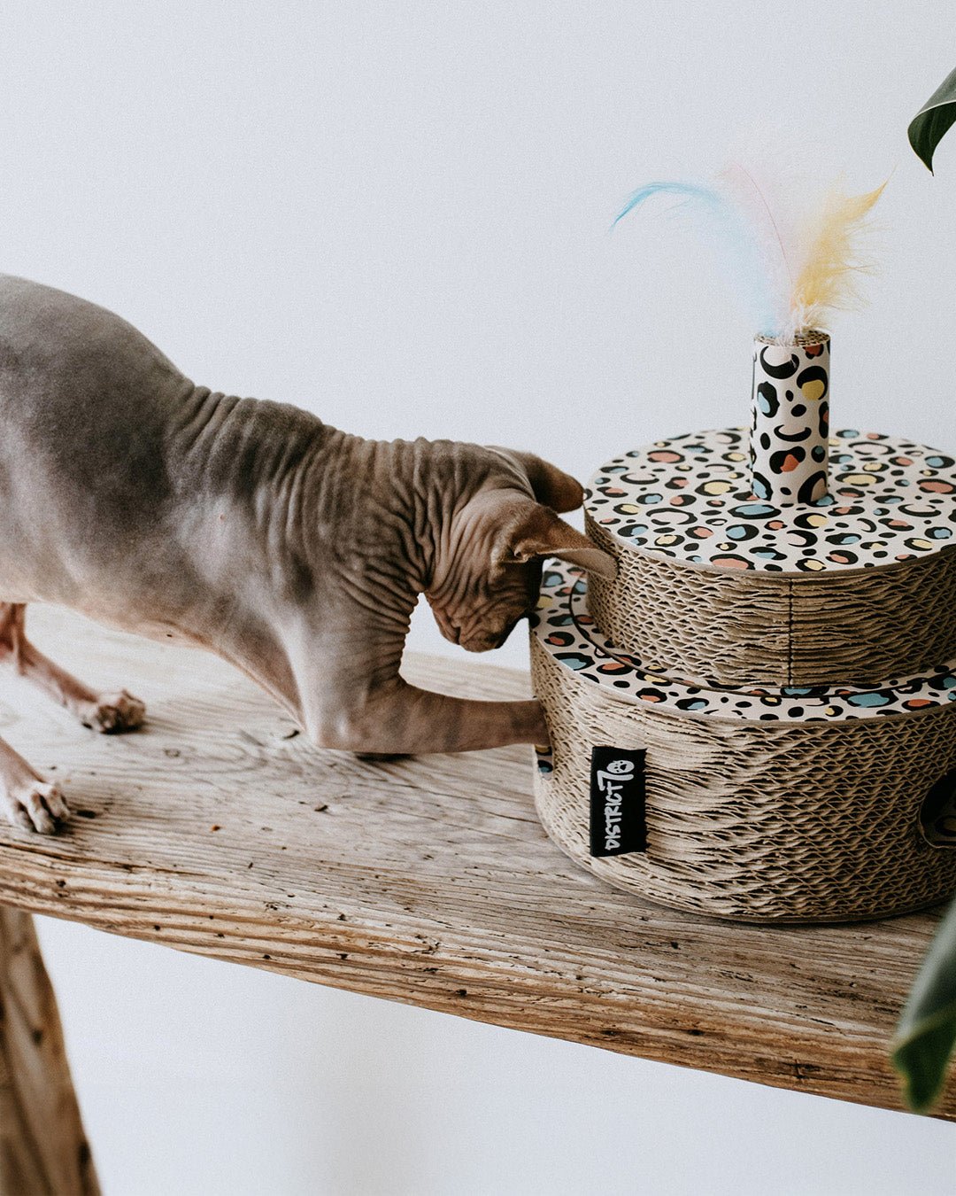 Ik miauw van jou | Happlify feel good webshop gids en blog