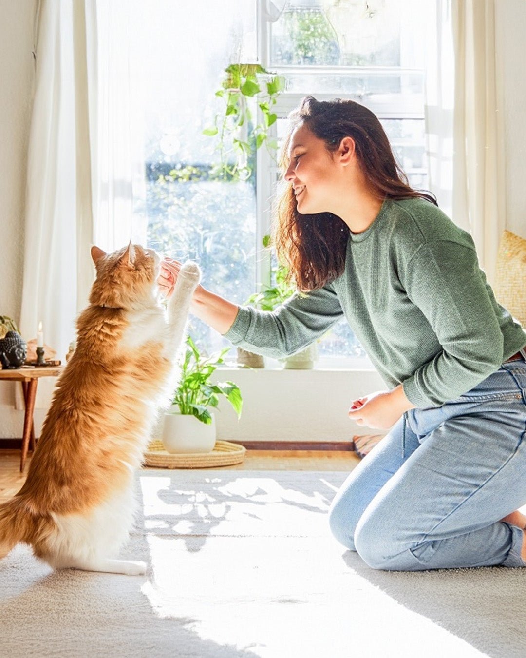 Just Russel | Happlify happy place & webshop gids