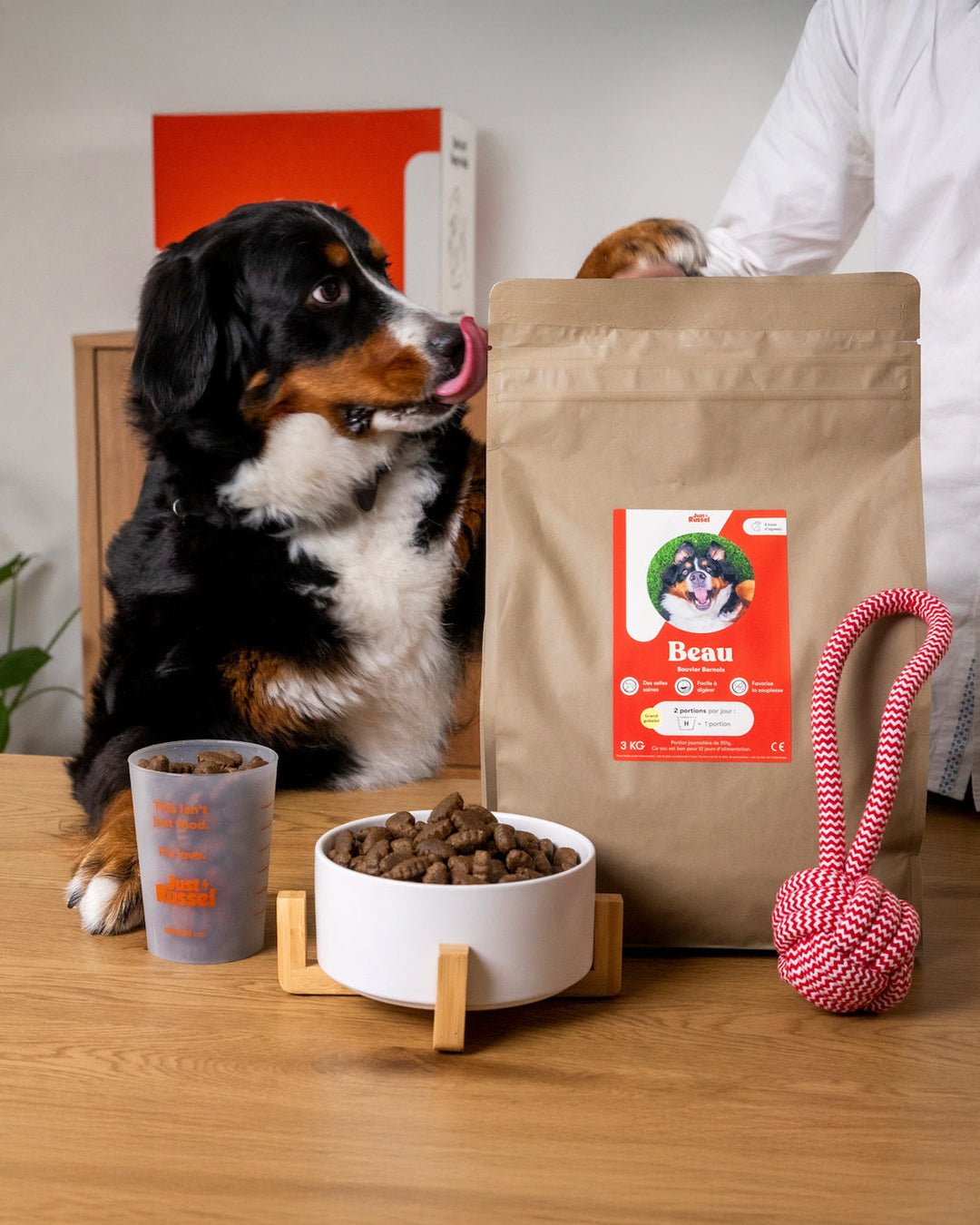 Just Russel | Happlify happy place & webshop gids