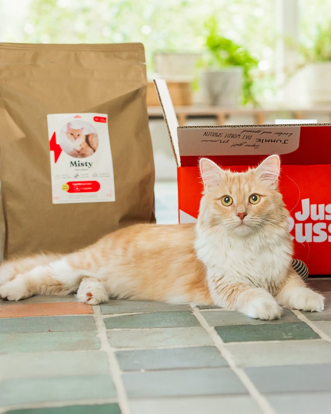 Just Russel | Happlify happy place & webshop gids