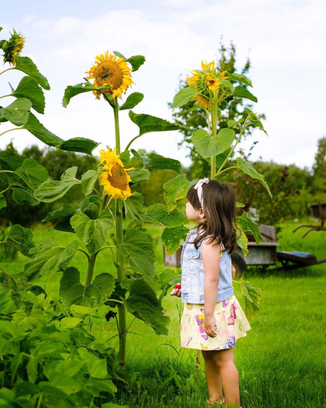 Moestuinieren met Kinderen | Happlify feel good webshop gids