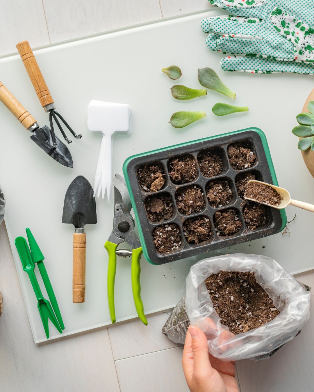 Moestuinieren met Kinderen | Happlify feel good webshop gids