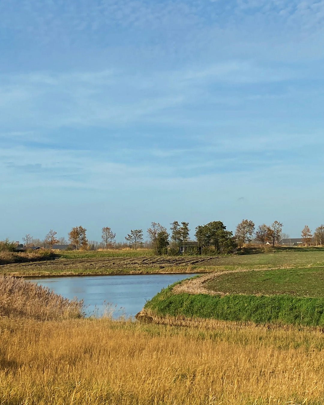 Natuurhuisje in Oudelande | Happlify feel good webshop gids en blog