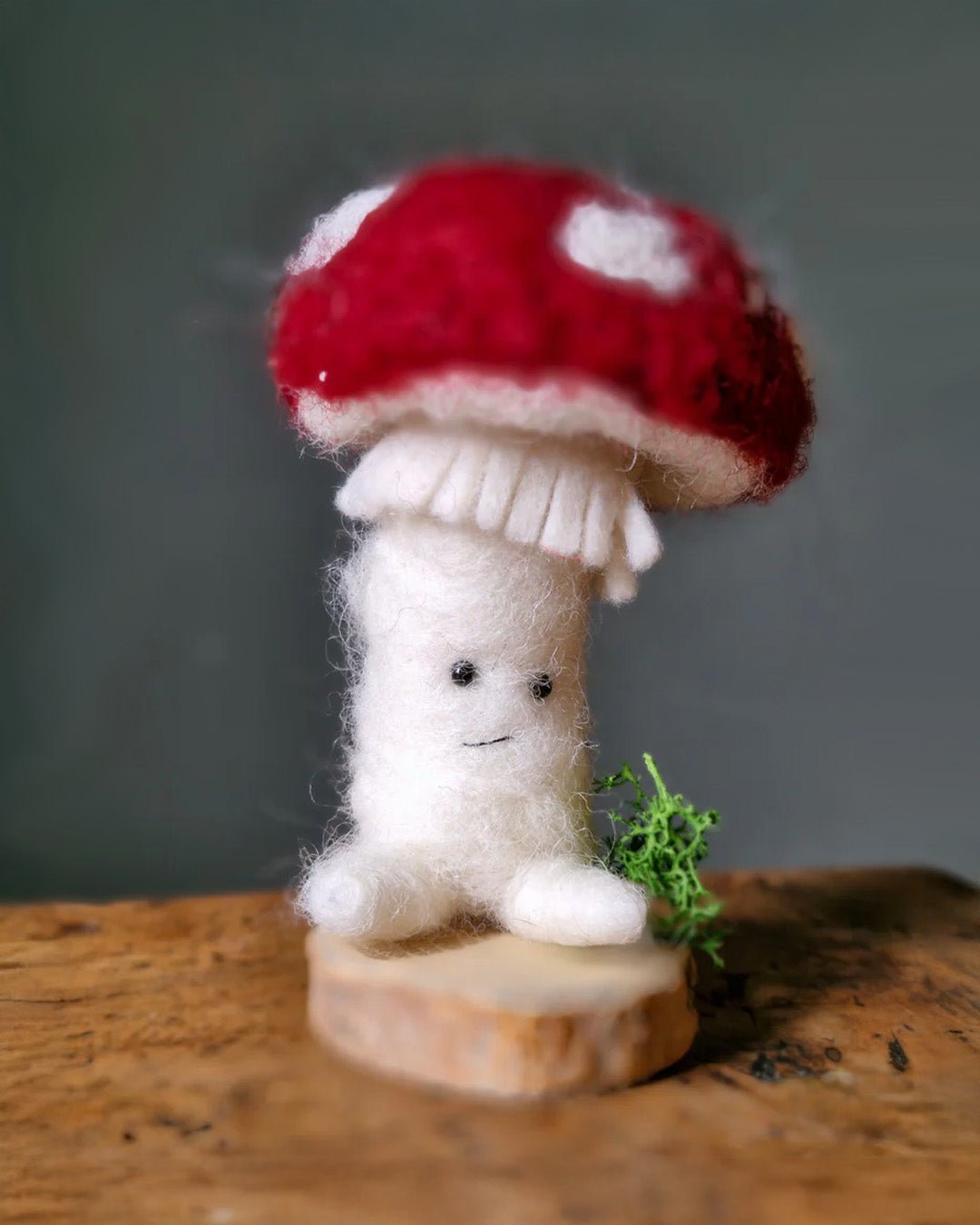 The Wool Family | Happlify feel good webshop gids en blog