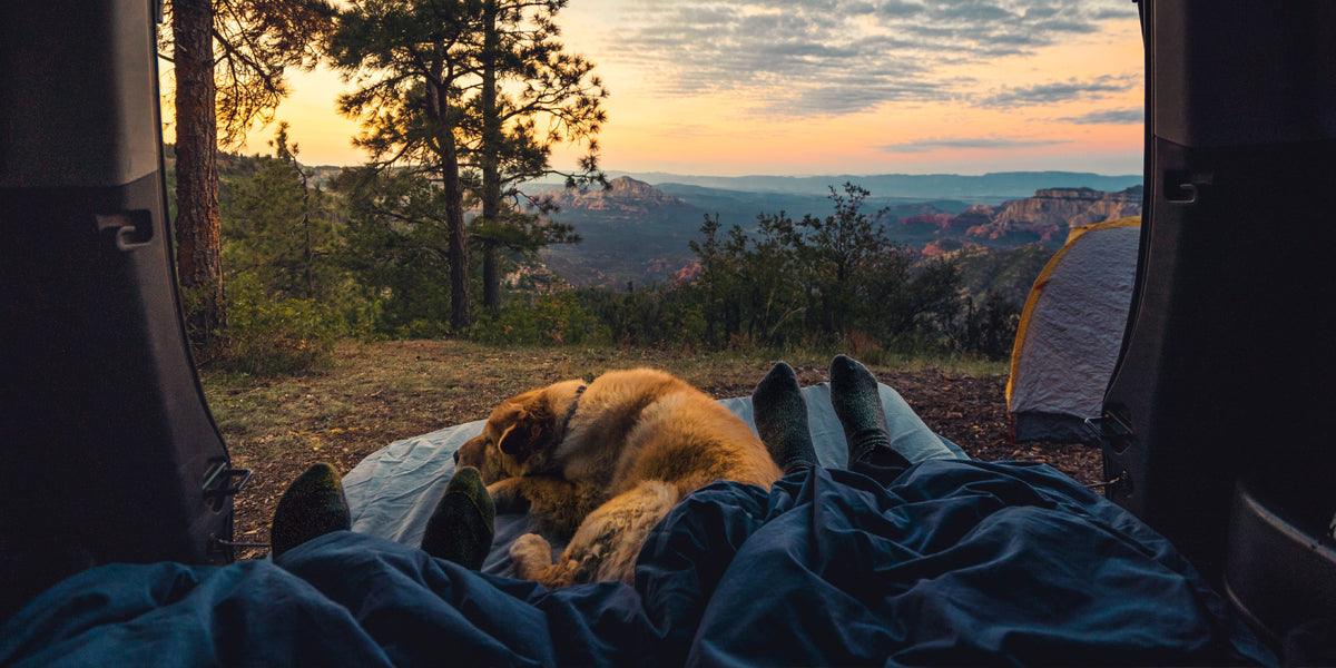 7 tips om je hond een onvergetelijke campervakantie te geven - Happlify