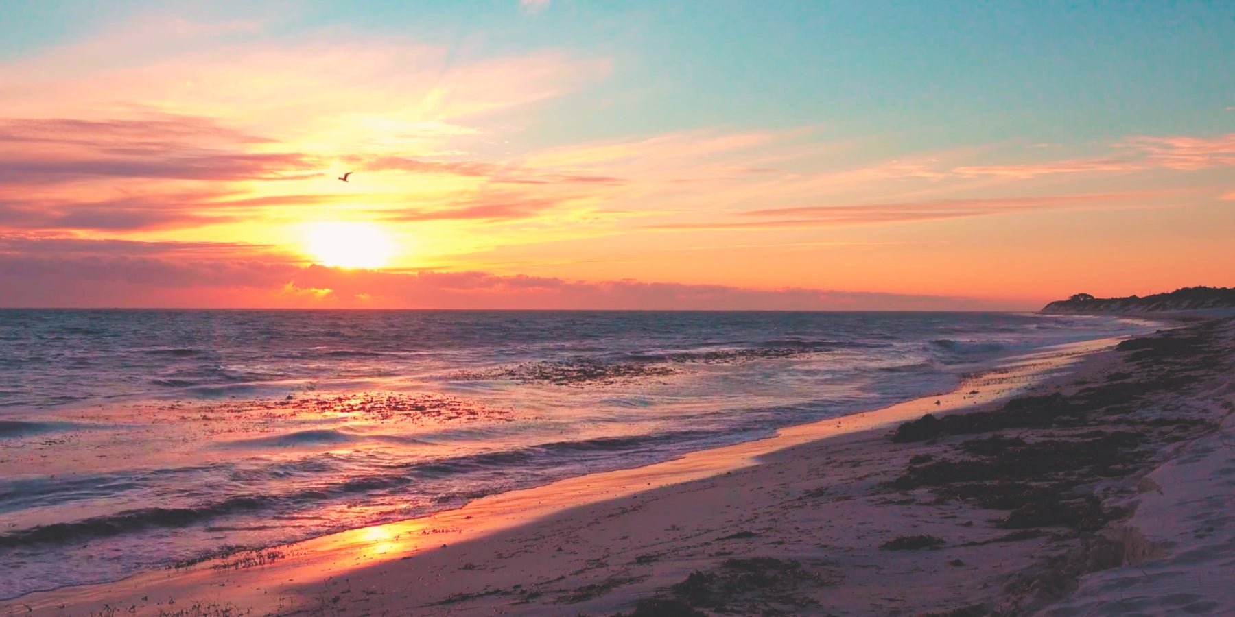 Waarom je je zo thuis voelt aan zee (het zit in je bloed!) - Happlify