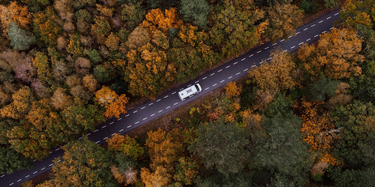 Waarom een roadtrip plannen je direct gelukkig maakt