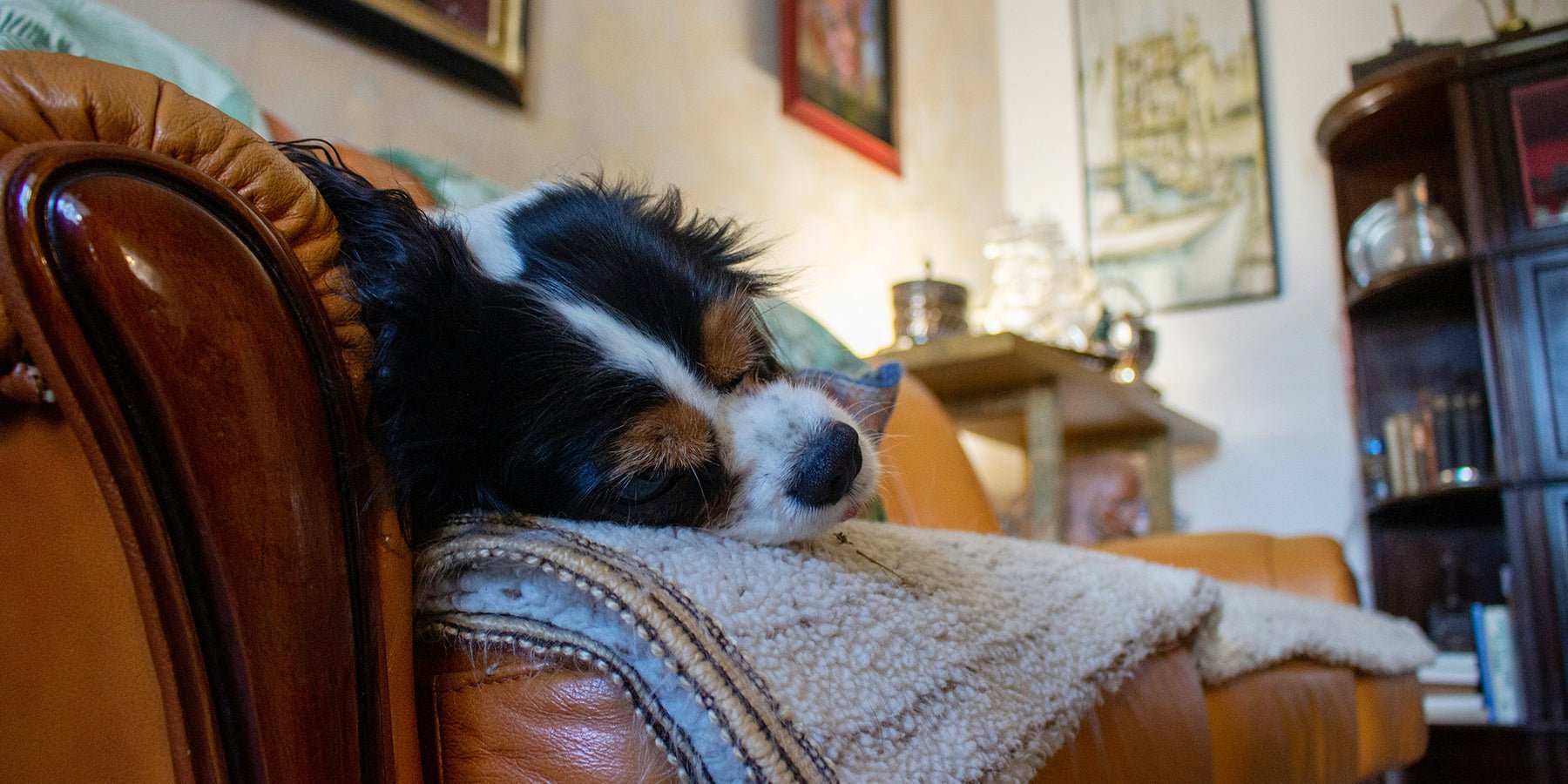Slim verwarmen zonder gedoe: waarom een warmtepomp steeds populairder wordt