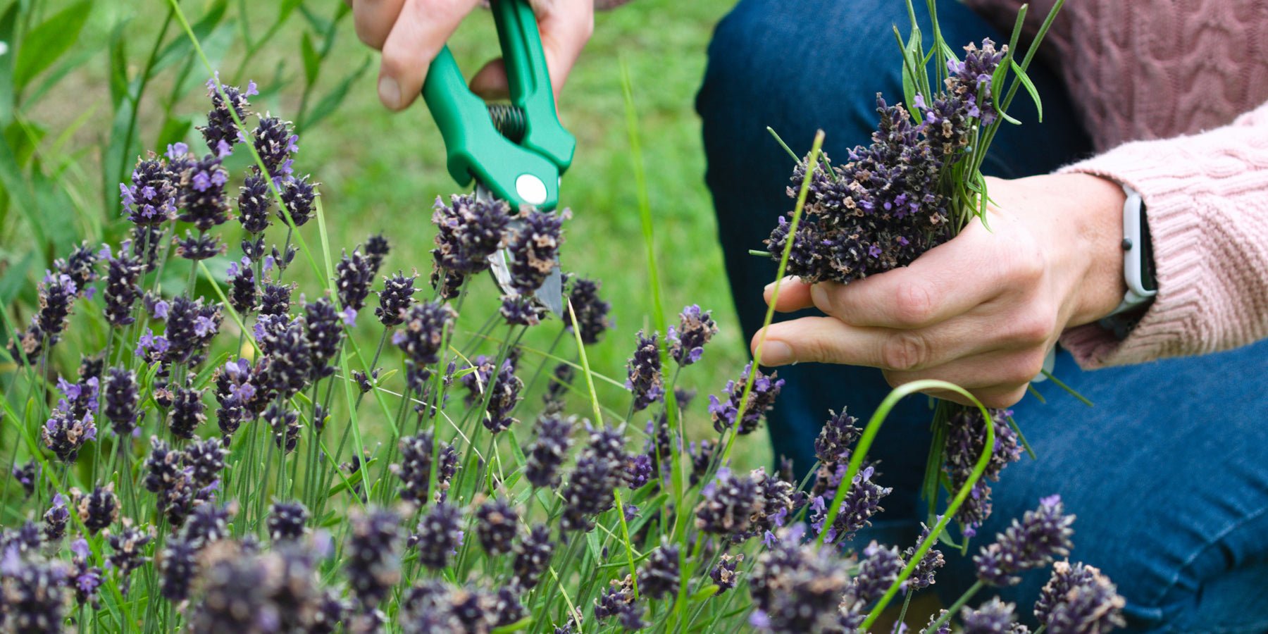 Aan de slag in de tuin? Tips voor klassiek én modern tuingereedschap