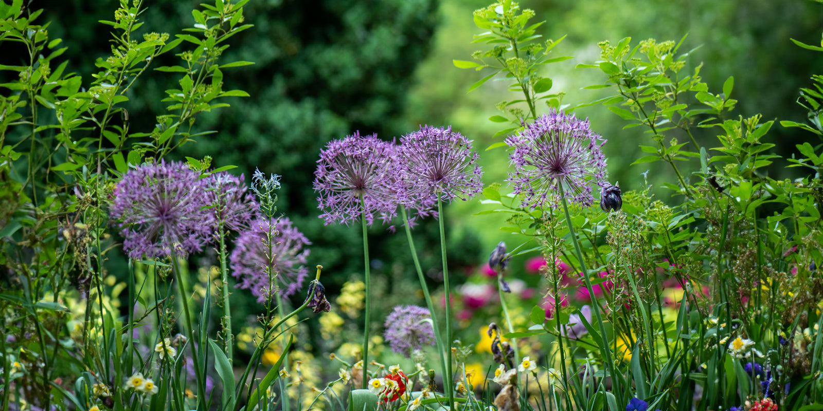 Geniet van de zomer: tips voor een rustgevend ingerichte tuin