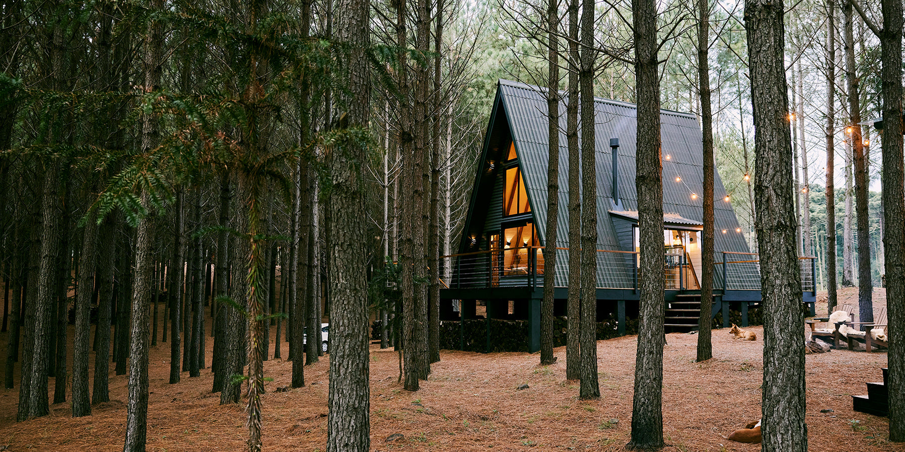 Vakantie in eigen land: waarom een huisje huren in Nederland zo leuk is