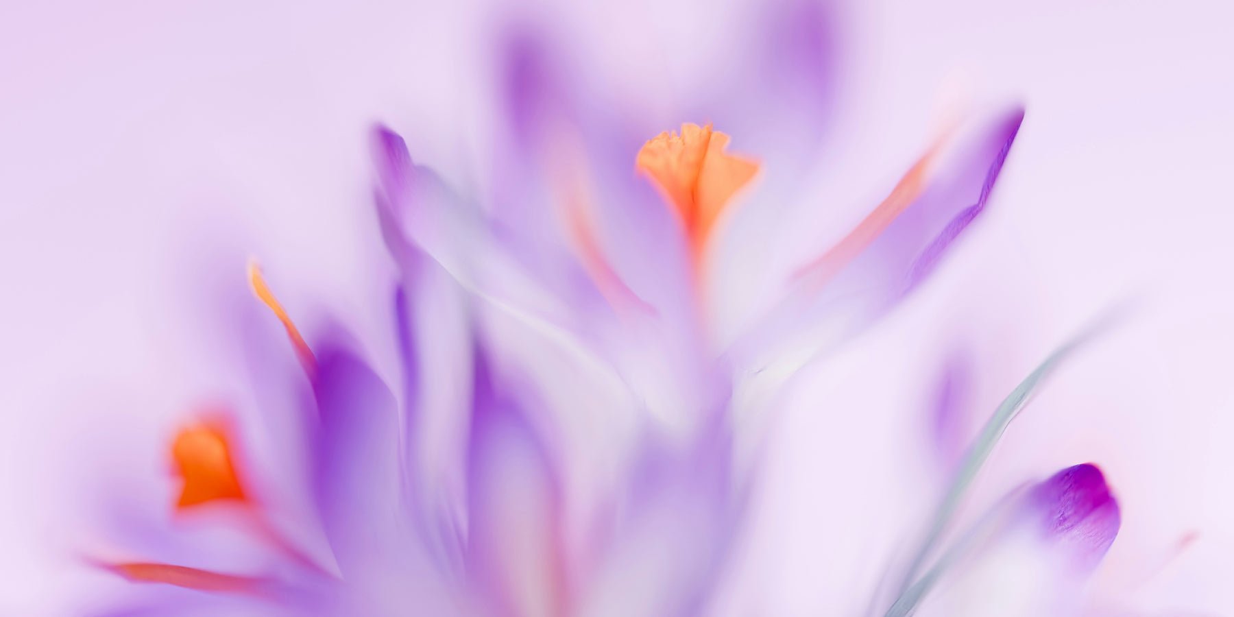 Feng Shui: zo breng je meer rust en balans in huis