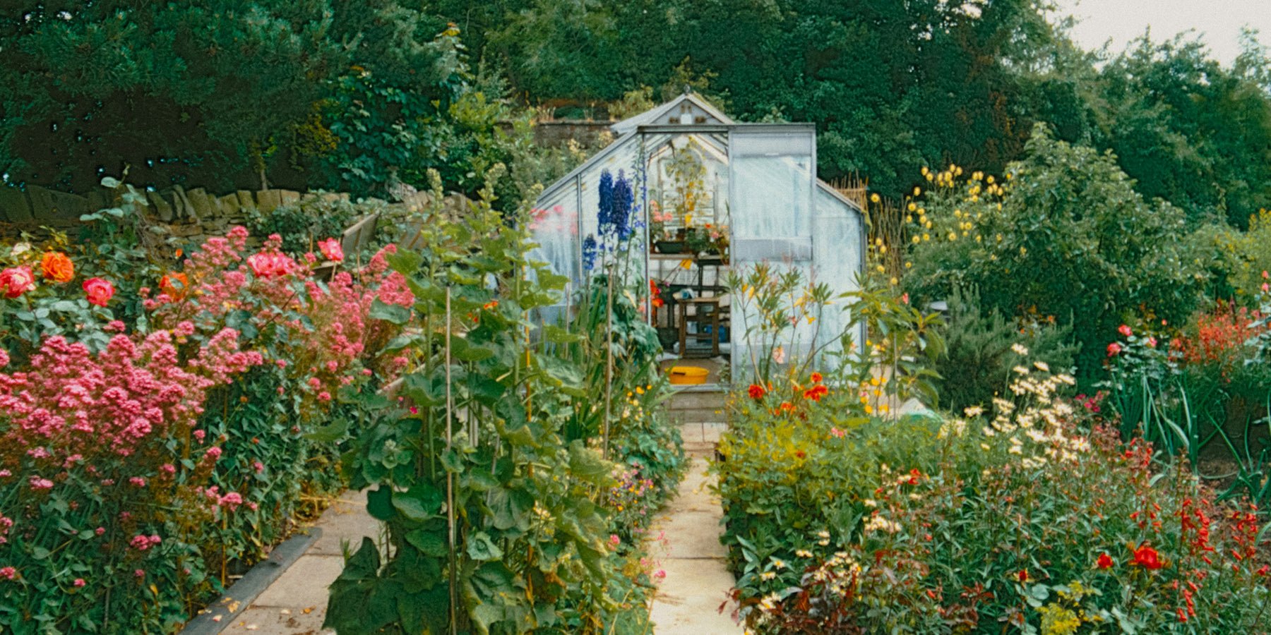 Je tuin als happy place: groen waar je elke dag van geniet